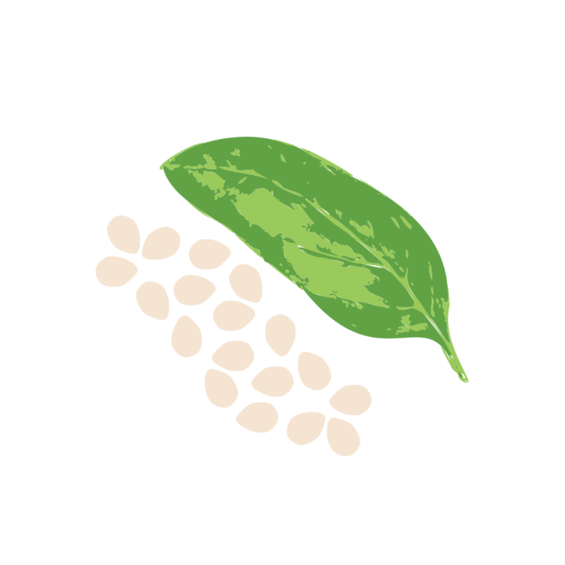basil leaf and sesame seeds icon