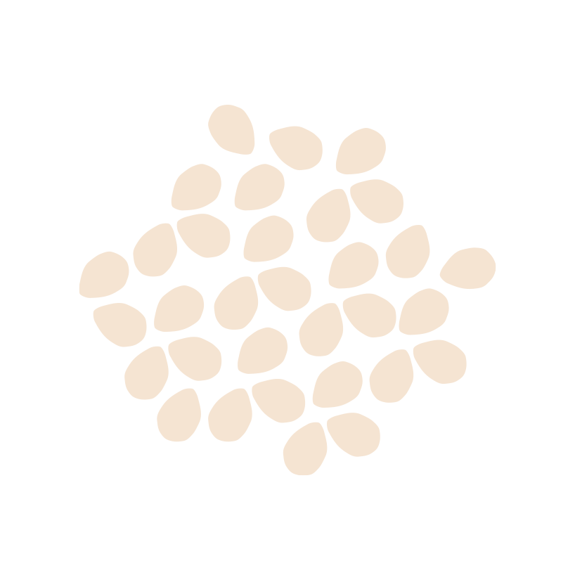 seed-image