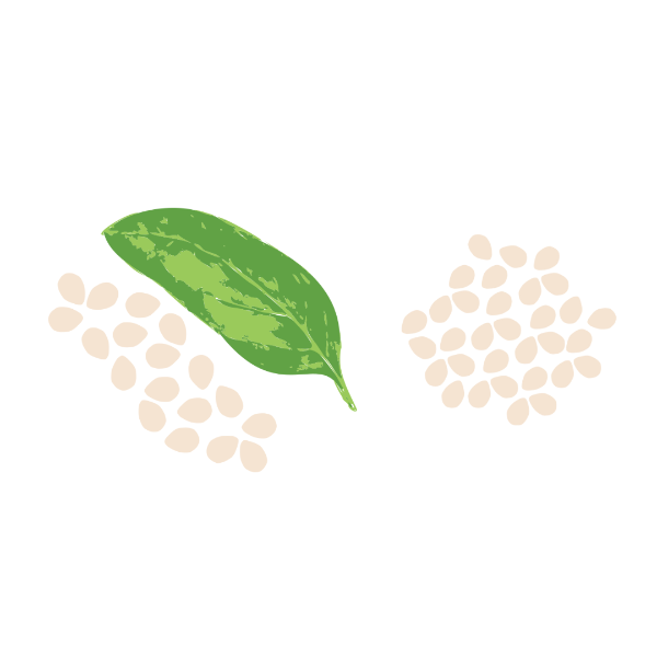 Tahini Savory Duo